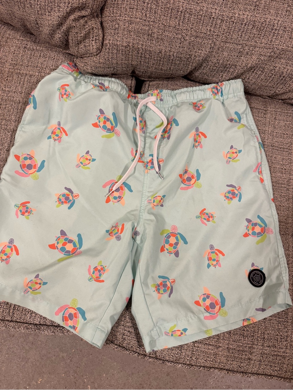 Brooklyn Cloth Light Mint Swim Trunks with Multicolor Turtle Print